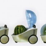 watermelon-cooler