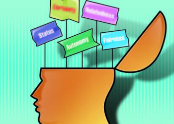 David Rock: Las respuestas del cerebro