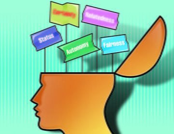 David Rock: Las respuestas del cerebro