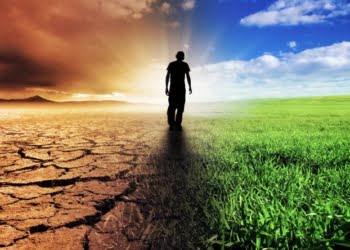 Cómo recuperarse después de fracasar con tu startup