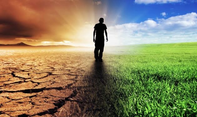 Cómo recuperarse después de fracasar con tu startup