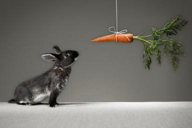 12 hábitos de la gente extraordinariamente motivada