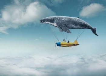 Consejos para que tus sueños se hagan realidad…