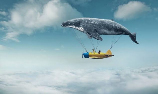 Consejos para que tus sueños se hagan realidad…