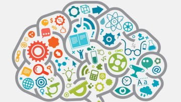 6 cosas importantes sobre cómo aprende tu cerebro