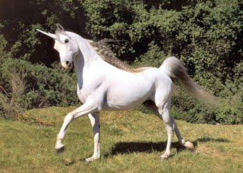 Los emprendedores «Unicornios» ¿Los conocés?
