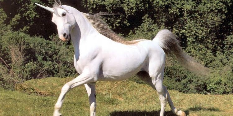 Los emprendedores «Unicornios» ¿Los conocés?