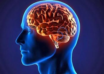 Aprende a usar tu cerebro