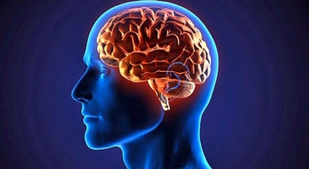 Aprende a usar tu cerebro