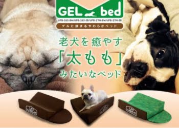 CURIOSO: Cama para perros imita las piernas de su dueño