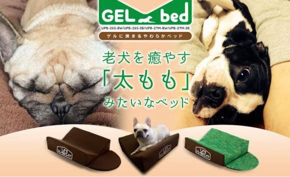 CURIOSO: Cama para perros imita las piernas de su dueño