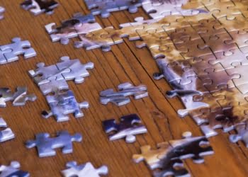 La importancia de una buena gestión de equipo en una startup