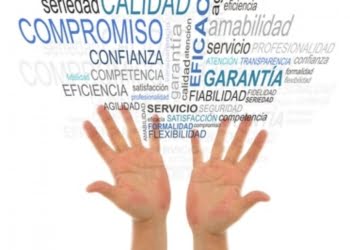Valores en la Organización