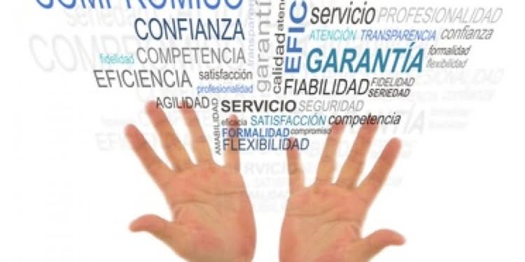 Valores en la Organización