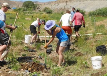 DANIEL COLOMBO: ¿De qué hablamos cuando hablamos de voluntariado corporativo?