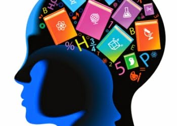 Programas de Neuroeducación