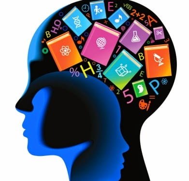 Programas de Neuroeducación