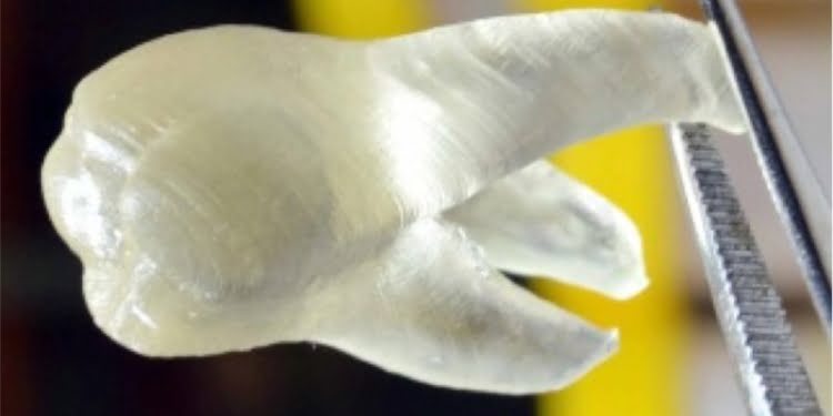 Imprimen dientes en 3D que eliminan las bacterias de la boca