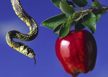 La envidia es un veneno para los emprendedores