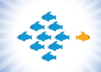 Emprendedores: una idea, un plan, una aventura que comienza