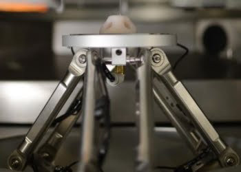 Órganos a la carta con impresoras 3D