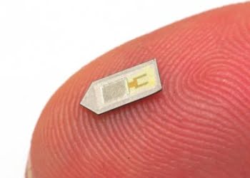#IoT: Desarrollan un biosensor intracraneal reabsorbible