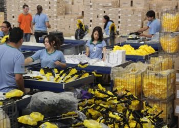PARAGUAY: La exportación de maquila creció un 14% en 2015