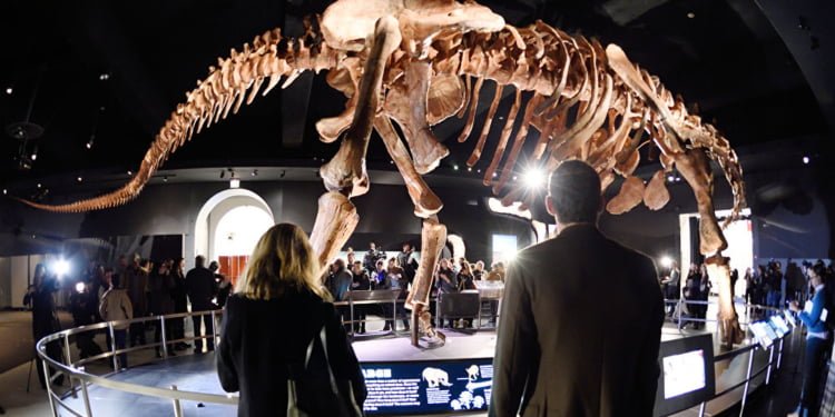 El titanosaurio argentino que revoluciona Nueva York fue impreso en 3D