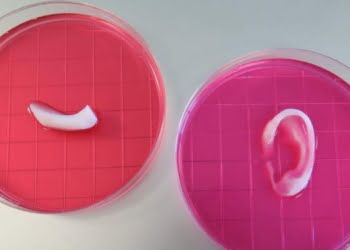 3D: Una impresora crea huesos, músculos y cartílagos que luego pueden ser implantados