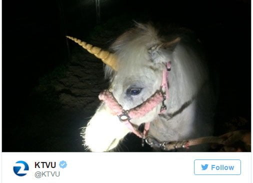 CURIOSO: Los unicornios son startups de más de usd 1.000 millones… ¡Y caballos perseguidos por la policía de California!