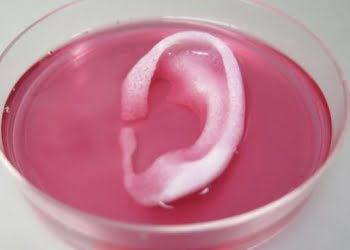 #IMPRESIÓN3D: Crean nuevo material para fabricar cartílagos