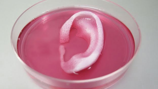#IMPRESIÓN3D: Crean nuevo material para fabricar cartílagos