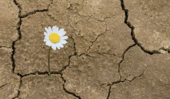 DANIEL COLOMBO: 10 habilidades de éxito de quienes hemos fracasado