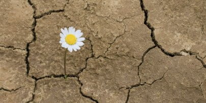 DANIEL COLOMBO: 10 habilidades de éxito de quienes hemos fracasado