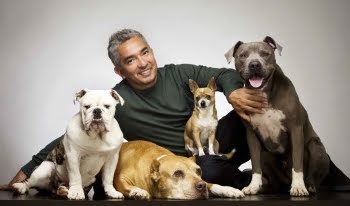 Las lecciones emprendedoras del encantador de perros, César Millán