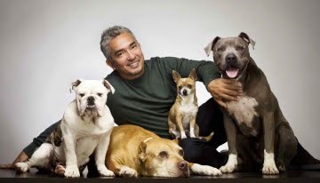 Las lecciones emprendedoras del encantador de perros, César Millán