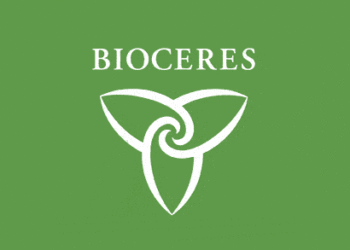 Bioceres y Agroads potencian el ecommerce agropecuario