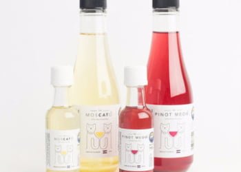CURIOSO: Lanzan vino sin alcochol para gatos