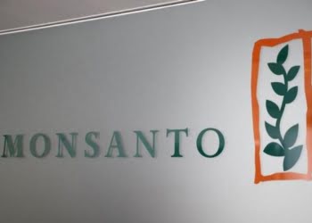 Brasil: Monsanto y Microsoft invertirán en startups agrícolas