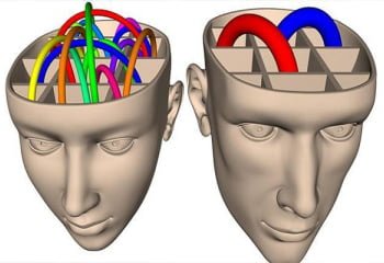 Estudio del MIT confirma que el cerebro de los emprendedores funciona diferente