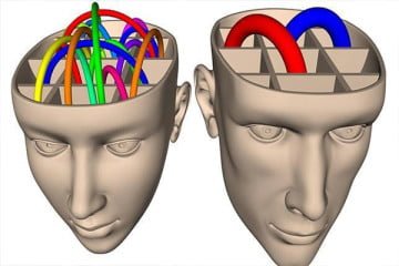 Estudio del MIT confirma que el cerebro de los emprendedores funciona diferente