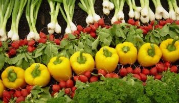 3 razones para emprender en agricultura ecológica