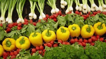 3 razones para emprender en agricultura ecológica