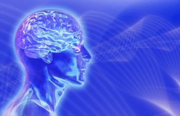 El cerebro azul