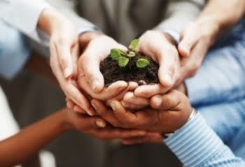 Valores, adorno o fundamento organizacional