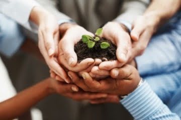 Valores, adorno o fundamento organizacional