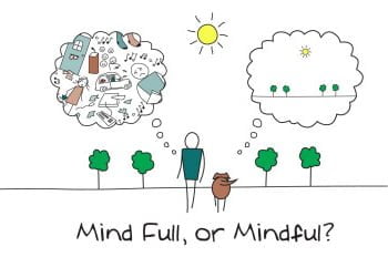 MINDFULNESS: Una mente en plenitud