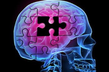 Pensar con el cerebro hueco