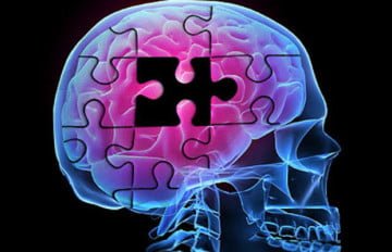 Pensar con el cerebro hueco