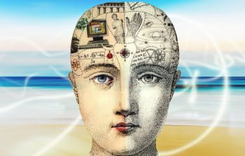 COLOMBO: ¿En qué lugar del cerebro está tu motivación, metas y éxito?